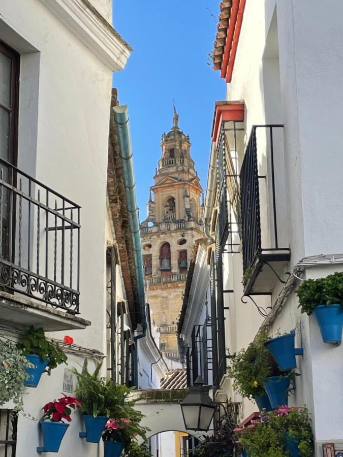 Casa Terraza Juderia Leilighet Córdoba Eksteriør bilde