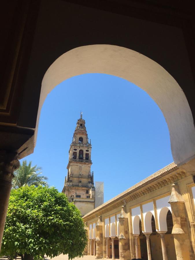 Casa Terraza Juderia Leilighet Córdoba Eksteriør bilde